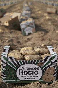 Caja Campo Patatas Sapunta